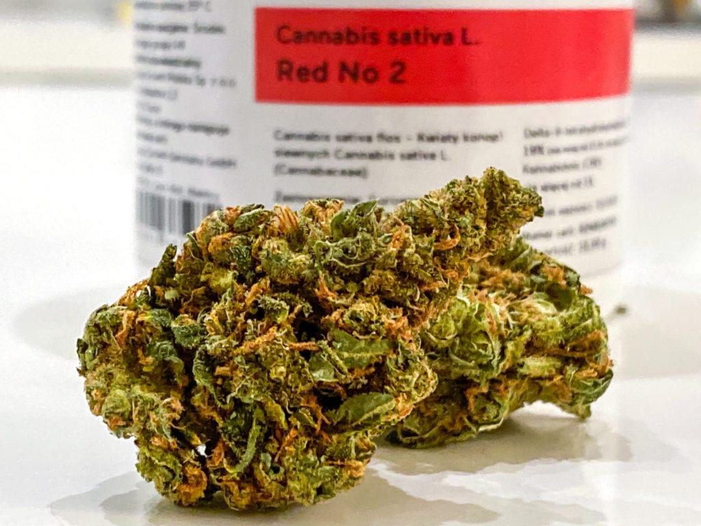 Medyczna marihuana: opis i recenzja suszu Red No. 2 (Lemon Skunk) -  Stonerchef