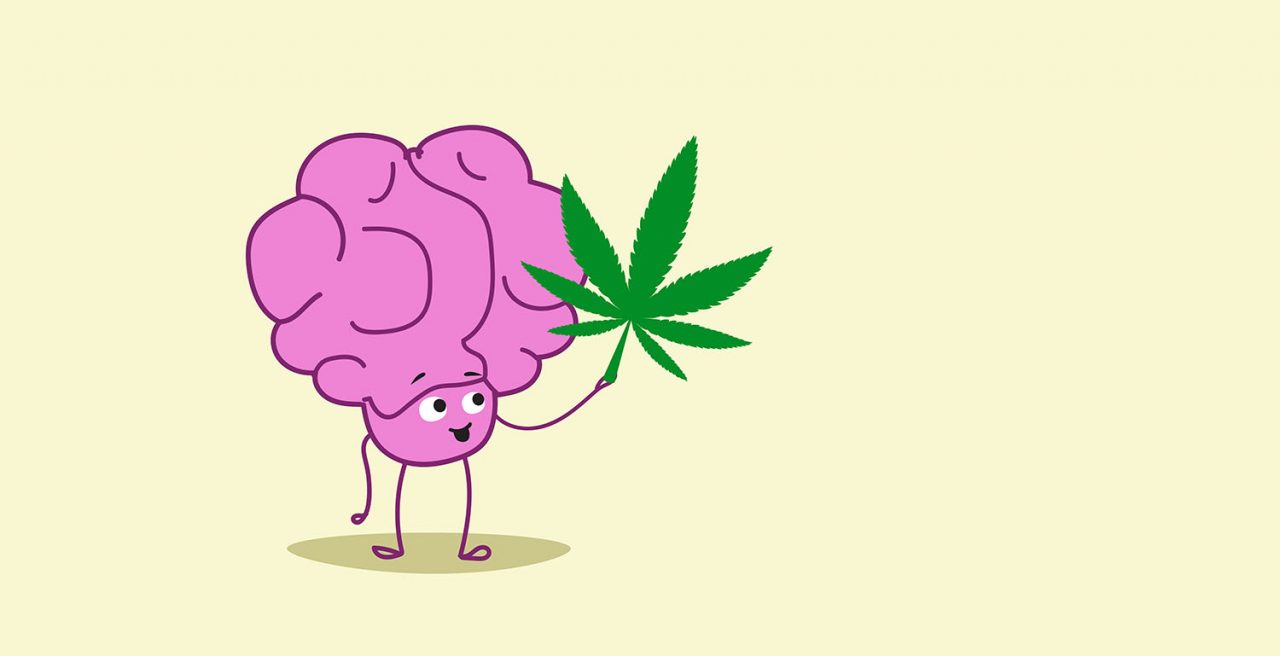 jak marihuana wpływa na pamięć?