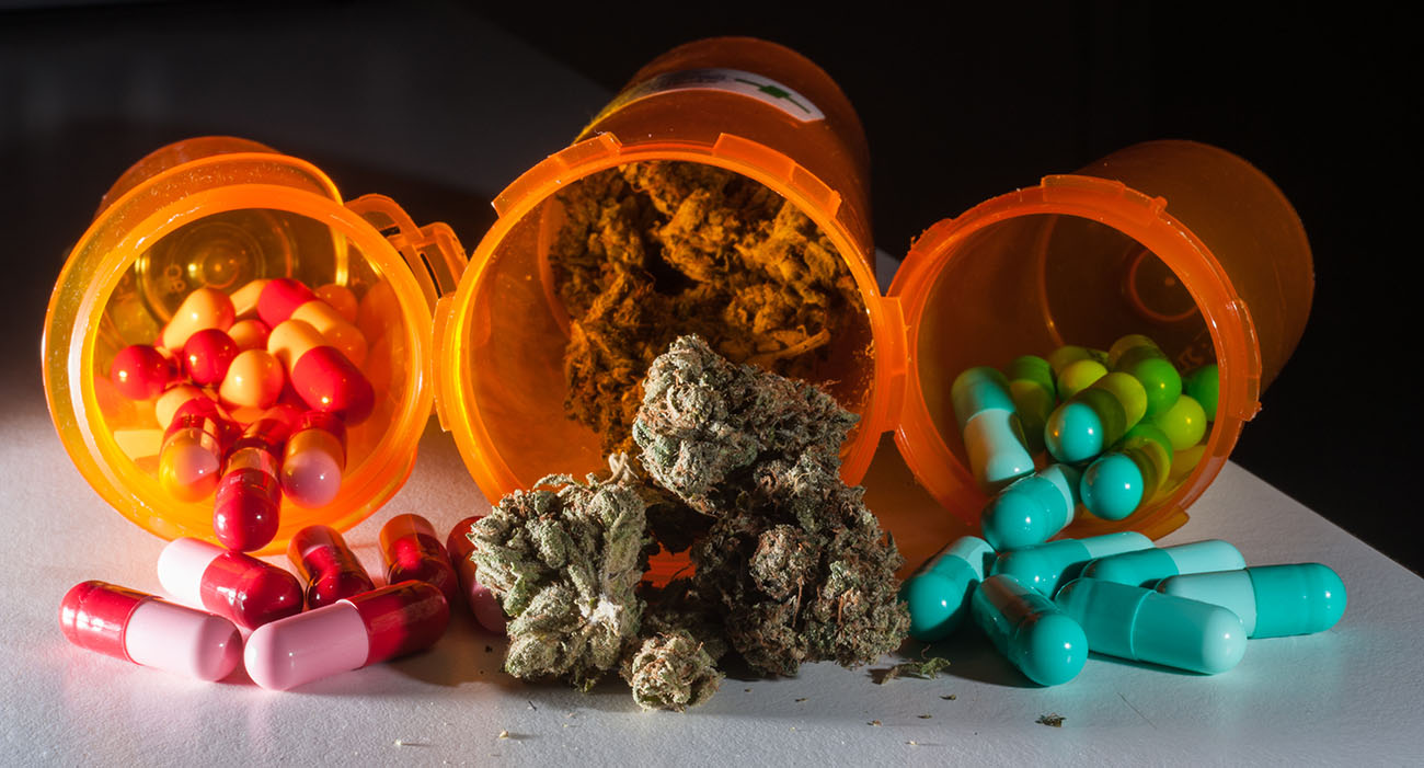 marihuana w leczeniu bólu a opioidy